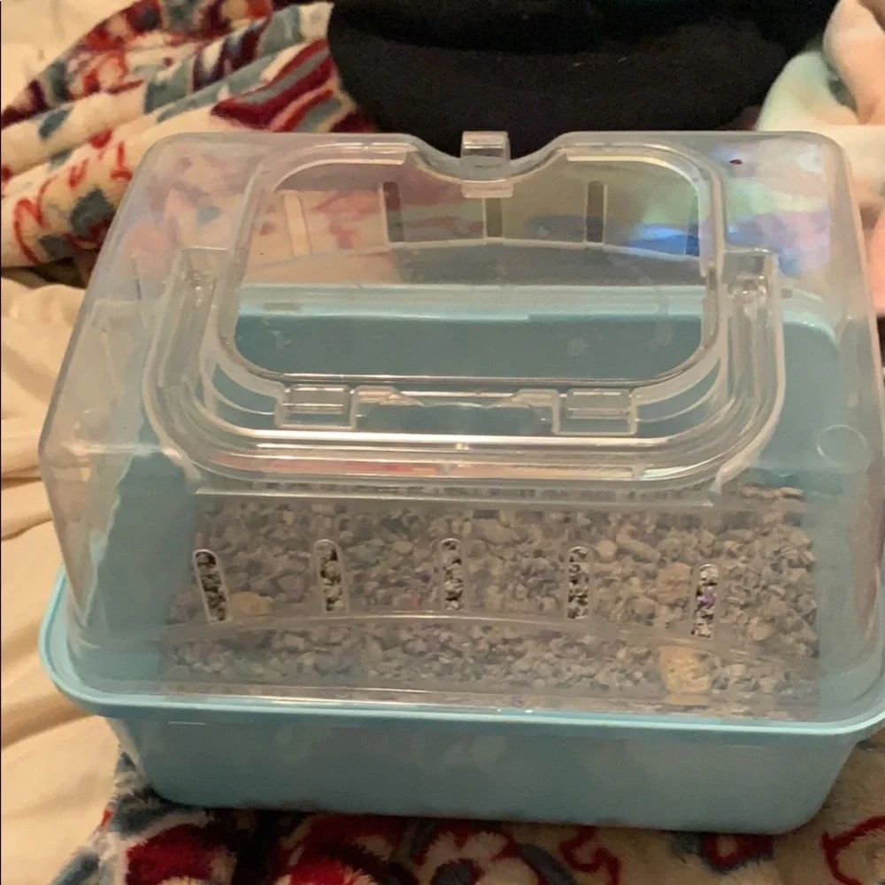 small pet carrier
